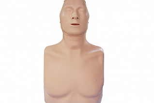 "ТОРС-01 СЛР" тренажер-манекен взрослого пострадавшего для отработки приемов сердечно-легочной реанимации (голова, туловище) Zarnitza