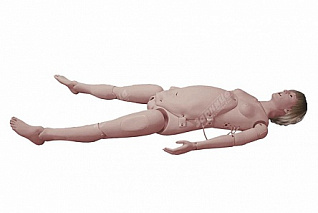 Тренажер приемов родовспоможения и неонатальной помощи