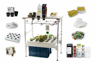 Комплект Собираем-урожай «От зародыша до взрослого растения (организма)»