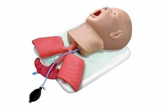 Фантом головы ребенка (возраст до 1 года) для интубации трахеи