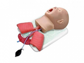 Фантом головы ребенка (возраст до 1 года) для интубации трахеи