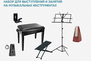 Набор для выступлений и занятий на музыкальных инструментах