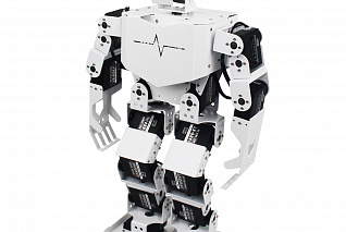 Андроидный робот Hiwonder TonyPi. Расширенный комплект