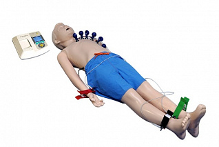 Многофункциональный манекен для регистрации параметров ЭКГ (подросток) Zarnitza