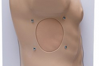 Комплект сменных накладок к тренажеру пункции плевральной полости при пневмотораксе Zarnitza