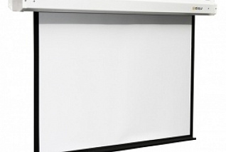 Экран Digis Electra формат 4:3 (200*150) (MW) DSEM-4303