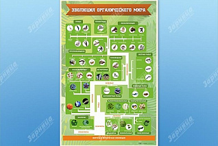 Стенд Эволюция органического мира