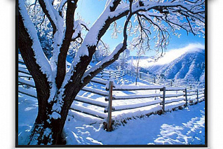 Экран Braun настенный рулонный 180x180 см Roll-down