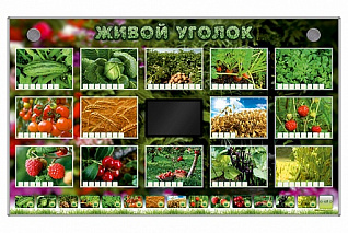 Комплект оборудования Живой уголок 