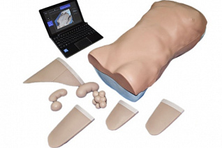 Манекен для диагностики абдоминальных заболеваний Zarnitza