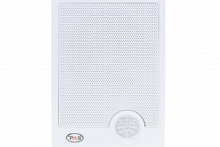 Настенный трансляционный громкоговоритель PASystem ROX-10