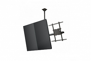 Кронштейн потолочный Wize CMP55 для размера 46"- 55"