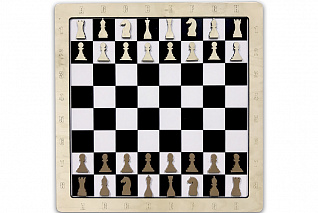Настенная игра 2 в 1 Шашки + шахматы