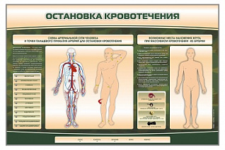 Электрифицированный стенд-тренажер Zarnitza "Остановка кровотечения"