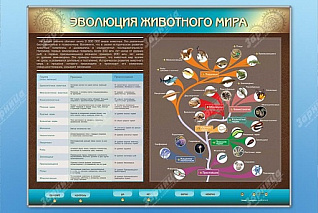  Интерактивный электрифицированный стенд Эволюция животного мира