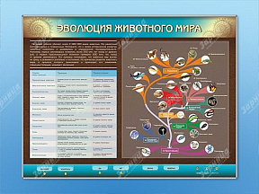  Интерактивный электрифицированный стенд Эволюция животного мира