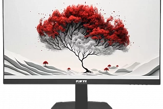 Монитор RDW 2401 СЕРИЯ 01