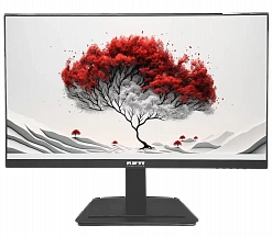 Монитор RDW 2401 СЕРИЯ 01