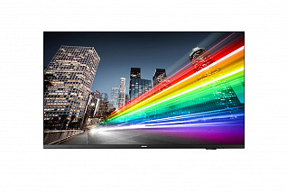 Коммерческий телевизор Philips 43BFL2214/12