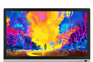 Интерактивный планшет Interwrite 22Umini, 21.5''