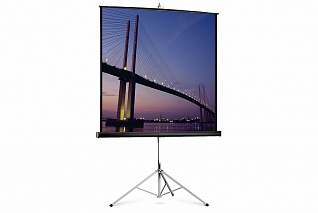 Проекционный экран на штативе Projecta Picture King 178х178 см