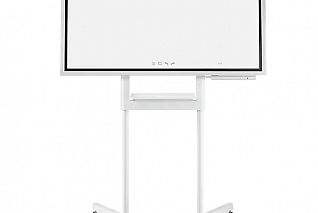 Интерактивная панель Samsung WM55H со стойкой STN-WM55H/CI