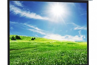 Проекционный экран Projecta ProScreen 240х240 см