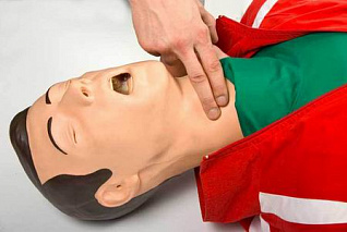 Максим II-01 Тренажер сердечно - легочной и мозговой реанимации