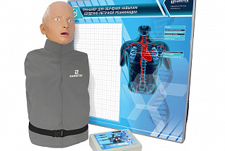 "Александр М-07" тренажер-манекен взрослого пострадавшего для отработки приемов сердечно-легочной реанимации (голова, туловище) с контроллером и настенным табло Zarnitza