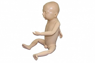 Манекен для техники проведения оздоровительного массажа и гимнастики