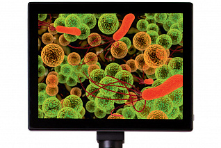 Камера цифровая для микроскопа Levenhuk MED 5 Мпикс с ЖК-экраном 9,4"