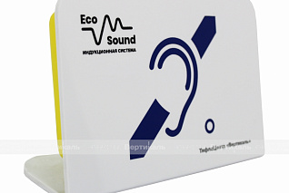 Индукционная система Eco Sound