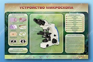 Электрифицированный стенд Устройство микроскопа и правила работы c ним