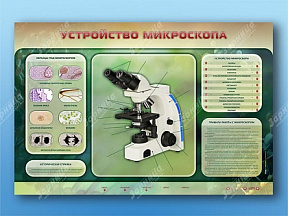 Электрифицированный стенд Устройство микроскопа и правила работы c ним
