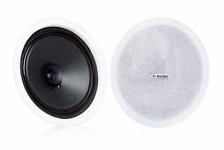 Потолочный громкоговоритель PASystem VOLT-10C