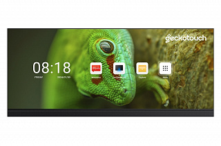 Видеостена 7x5 Geckotouch LED WALL Plus 21:9 180"