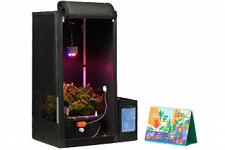 Образовательный набор «Лаборатория биолога» AMP-S048