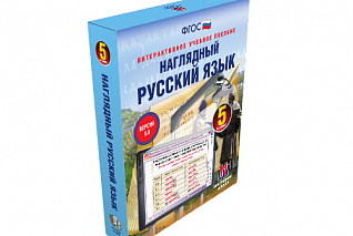 Наглядный русский язык. 5 класс