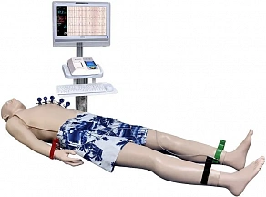Имитатор для обследования кардиологического пациента
