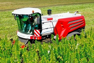 RSM F 2450 HEMP