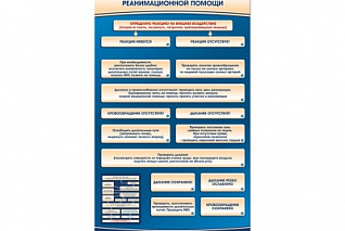Электрифицированный стенд-тренажер Zarnitza "Этапы оказания первой реанимационной помощи"