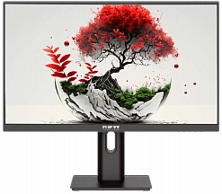 Монитор RDW 2201 СЕРИЯ 01