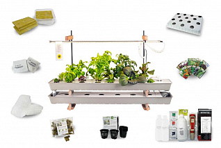 Комплект Собираем-урожай «Растения и их среда обитания»