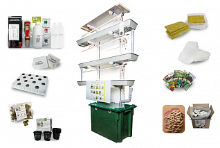 Гидропонная ферма Собираем-урожай «Настенная»