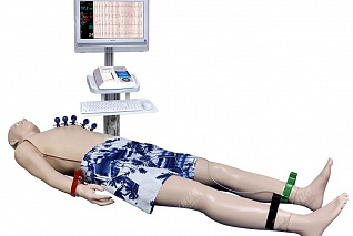 Манекен полноростовой взрослого человека для физикального обследования