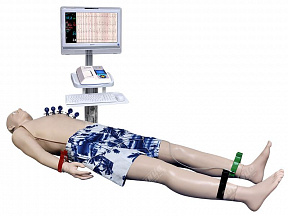 Манекен полноростовой взрослого человека для физикального обследования