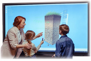 MultiBoard 65 L-series (UHD)