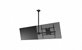 Модуль мультидисплейной системы Wize CML55